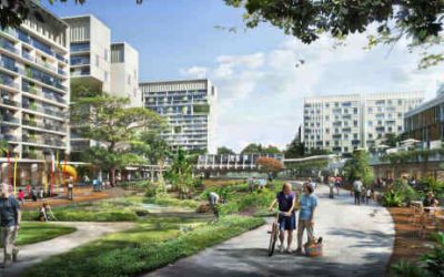 Take a Forest Walk in Singapore’s Smart City Ecotown: Tengah